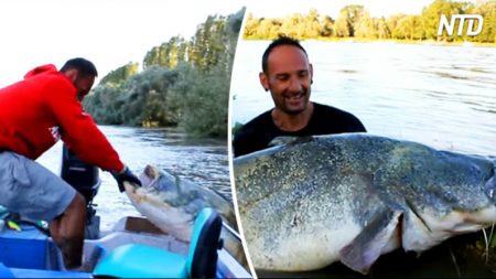 Pescador sente que algo está errado durante a pescaria – observe o que acontece em seguida!