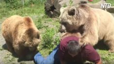 Urso de quase 200 kg sobe em cima de homem – as imagens são de arrepiar