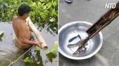 Rapazes mostram armadilha de pesca simples mas altamente eficaz, feita de vermes e bambu