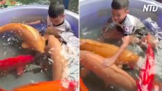 Meninos brincam dentro de tanques com peixes que valem milhares de dólares