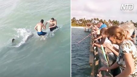 Pescador quase entra em colapso tentando puxar peixe grande – mas ele é criativo e acaba atraindo uma multidão