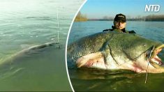 Pescador espera pegar o maior peixe de sua vida – mas observe quando esse “monstro” surge