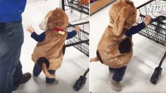 Crianças vão às compras no supermercado – suas inesperadas reações são adoráveis