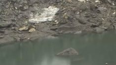 Lago cheio de esqueletos causa espanto na Índia