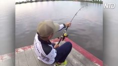 Homem puxa vara de pescar e captura o maior peixe de água doce do mundo
