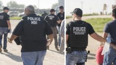 Órgão de Segurança Nacional dos EUA acusa empresas de enganarem imigrantes ilegais