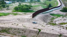 Congressista dos EUA sugere cobrar país de origem de cada ilegal preso na fronteira para financiar muro