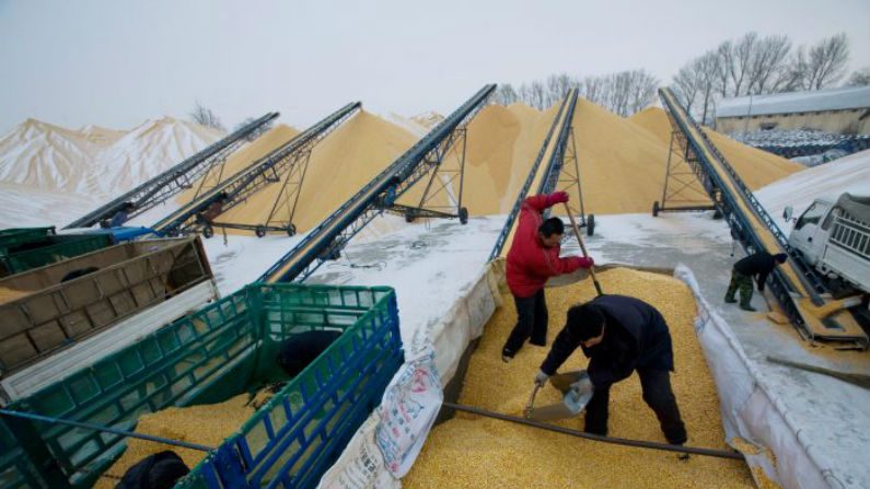 Dois fazendeiros descarregam milho em um depósito de reservas de grãos do estado na cidade de Yushu, província de Jilin, em 19 de dezembro de 2008 (China Photos / Getty Images)