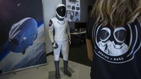 SpaceX anuncia que levará ao espaço 1º turista para voar ao redor da Lua