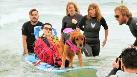 Cadela terapeuta cura corações e almas surfando com crianças que não podem andar, comer ou respirar