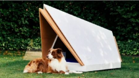 Casa para cães anti-stress isola completamente o som dos fogos de artifício (Vídeo)