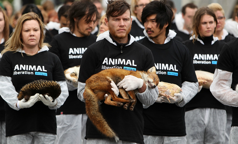 Veganismo busca na justiça ser equiparável à religião