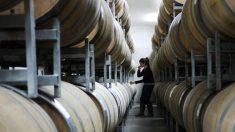 Professor culpa falsificações chinesas por perda de US$ 3,1 trilhões na indústria global de vinhos