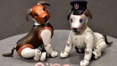Sony apresenta uma versão “policial” de seu cão-robô Aibo (Vídeo)