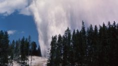 Cientista do Parque Yellowstone explica porque gêiseres estão ficando mais ativos