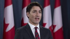 Trudeau deve ser ordenado a explicar suas ações para comitê de justiça