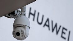 EUA alertam aliados europeus a não usarem Huawei em suas redes 5G