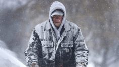 Homem é encontrado congelado e pelo menos seis pessoas morrem por conta de vórtice polar nos EUA