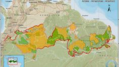 Corredor Triplo A: a nova ameaça à soberania brasileira na Amazônia