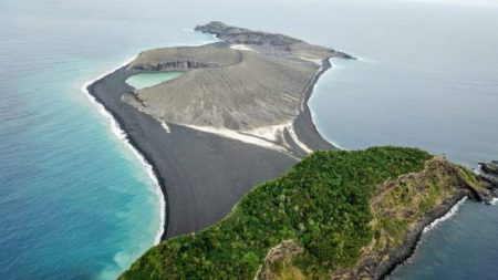 Vida coloniza ilha misteriosa que apareceu no Oceano Pacífico em 2014