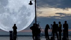 Um espetáculo lunar: fique atento à maior e mais brilhante ‘super-Lua’ de 2019