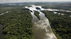 Governo não deixará sem respostas acusações e falácias sobre a Amazônia