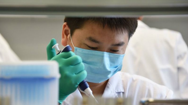 Técnico trabalha em um laboratório de DNA em Pequim, em 22 de agosto de 2018 (Greg Baker/AFP/Getty Images)