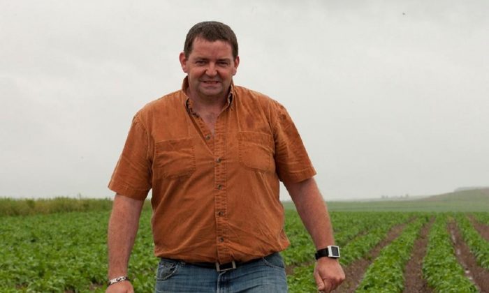 O agricultor de batatas de New Brunswick Henk Tepper verifica em seu campo, em sua fazenda em Drummond, N.B. em 26 de junho de 2012 (Jacques Boissinot / The Canadian Press)