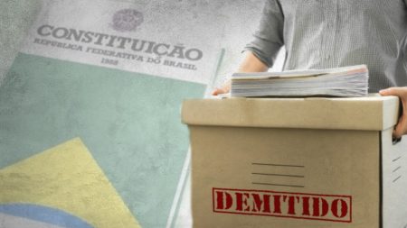 Demissão de servidor público estável por insuficiência de desempenho