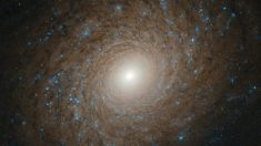 Galáxia espiral impressionante é encontrada pelo Hubble a mais de 70 milhões de anos-luz do nosso sistema solar