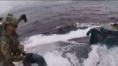 Vídeo dramático revela Guarda Costeira dos EUA apreendendo “narco submarino” com US$ 232 milhões em cocaína