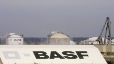 Cinco funcionários da BASF Taiwan são acusados de venda de segredos comerciais para a China