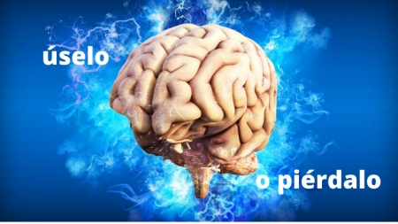 Regeneração cerebral: por que ela é real e como torná-la possível