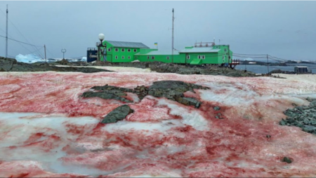 A explicação por trás da estranha tonalidade avermelhada que cobriu certas áreas da Antártica