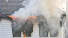 Menino de cinco anos retira a irmã e o cachorro do incêndio e volta para resgatar mais sete membros da família