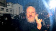 Mais de cem médicos pedem que Julian Assange receba atendimento médico urgente