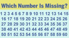 A maioria das pessoas não consegue encontrar o número ausente nessas seqüências em menos de 10 segundos, você consegue?