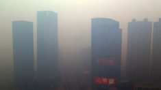 Estudos indicam uma ligação entre altos níveis de poluição na China e o coronavírus