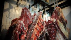 Wuhan detecta coronavírus em embalagens de carne bovina importada do Brasil