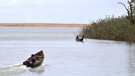 Cinco anos depois, pesquisadores encontram metais tóxicos em peixes do Rio Doce