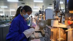 Fábricas chinesas fecham por falta de clientes em meio a pandemia