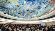 ONGs rejeitam candidaturas de regimes autoritários para cargos de direitos humanos da ONU