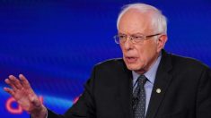 Sanders suspende campanha presidencial de 2020