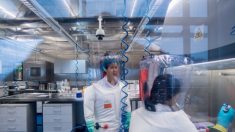Pandemia revela alarmante falta de ética nos laboratórios de virologia da China, afirmam especialistas
