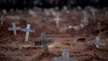 Covid-19: Brasil bate novo recorde de mortes nas últimas 24h, com 751