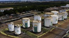 Petrobras pode sobreviver com barril a US$ 15, diz Castello Branco