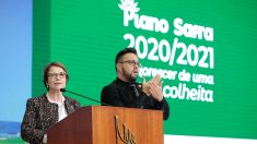 Plano Safra 2020/2021 contará com R$ 236,3 bilhões