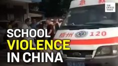 Guarda de escola primária fere 40 ao atacar funcionários e alunos 