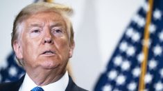 Trump pede que Nova Iorque ative a Guarda Nacional após ter sido ‘despedaçada’