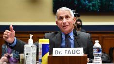 Fauci nega que Trump tenha pedido menos testes para novo coronavírus nos EUA